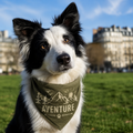 Bandana pour Chien — Aventure Camo