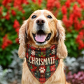 Bandana pour Chien — Tartan de Noël