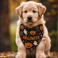 Bandana pour Chien — Citrouille d'Halloween