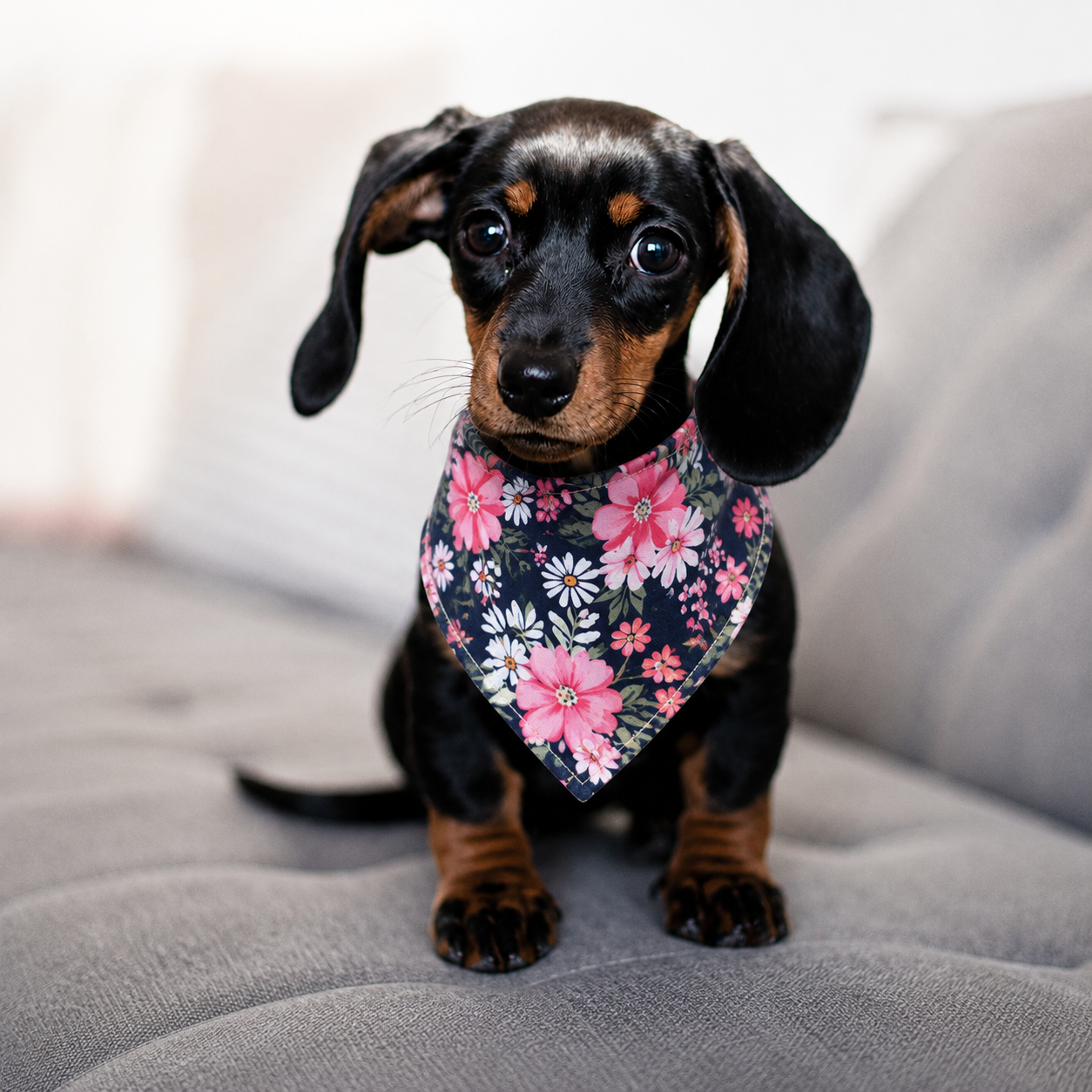 Bandana pour Chien — Jardin Fleuri