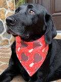 Bandana pour Chien — Cœurs de Saint-Valentin